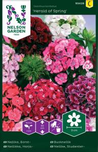 Nejlika, Borst-, Herald of Spring