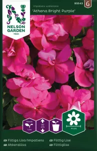 Flitiga Lisa, Athena Bright Purple F1