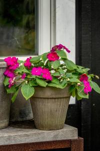 Flitiga Lisa, Athena Bright Purple F1