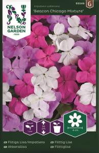 Flitiga Lisa, Beacon Chicago Mixture F1