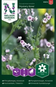 Förgätmigej, Kinesisk, Mystery Rose