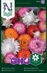 Eternell, Jätte-, hög, bl färger