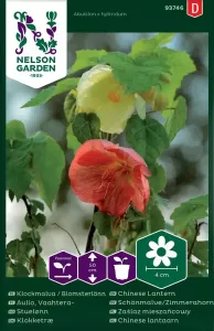 Klockmalva/Blomsterlönn, bl färger