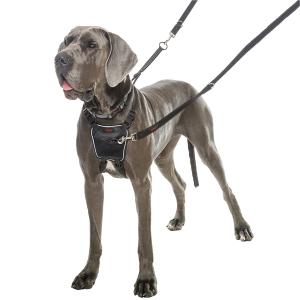 Anti drag-Sele Halti