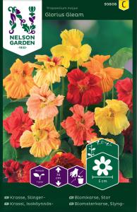 Krasse, Slinger-, Glorius Gleam, bl färger