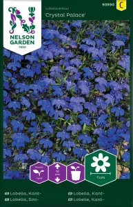 Lobelia, Kant-, Crystal Palace