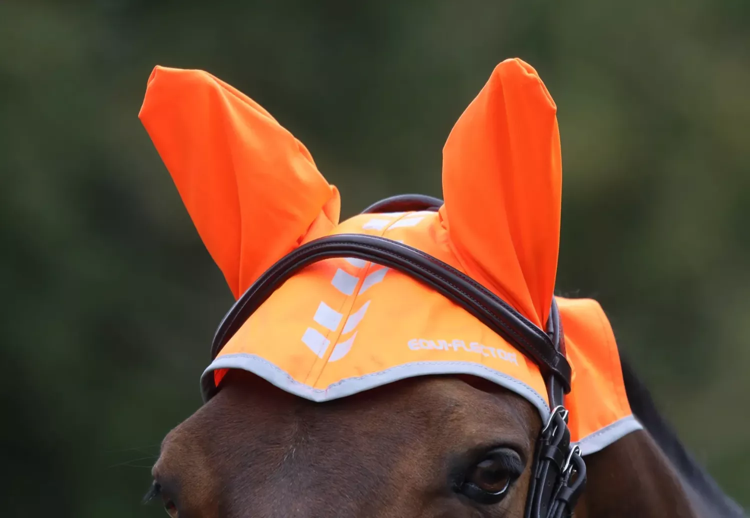 Ridluva Equi-Flector Reflexorange