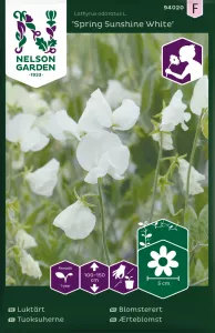 Luktärt, Spring Sunshine White