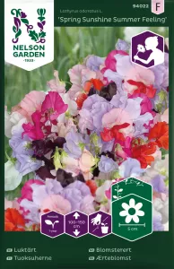 Luktärt, Spring Sunshine