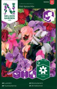 Luktärt, Villa Roma White & Rose