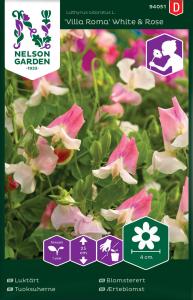 Luktärt, Villa Roma White & Rose