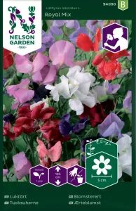 Luktärt, Royal, bl färger