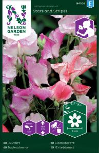 Luktärt, Stars and Stripes, bl färger