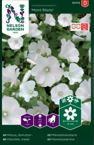 Malva, Sommar-, Mont Blanc, vit