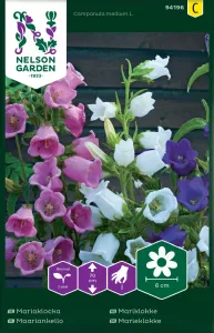 Mariaklocka, Enkel, bl färger