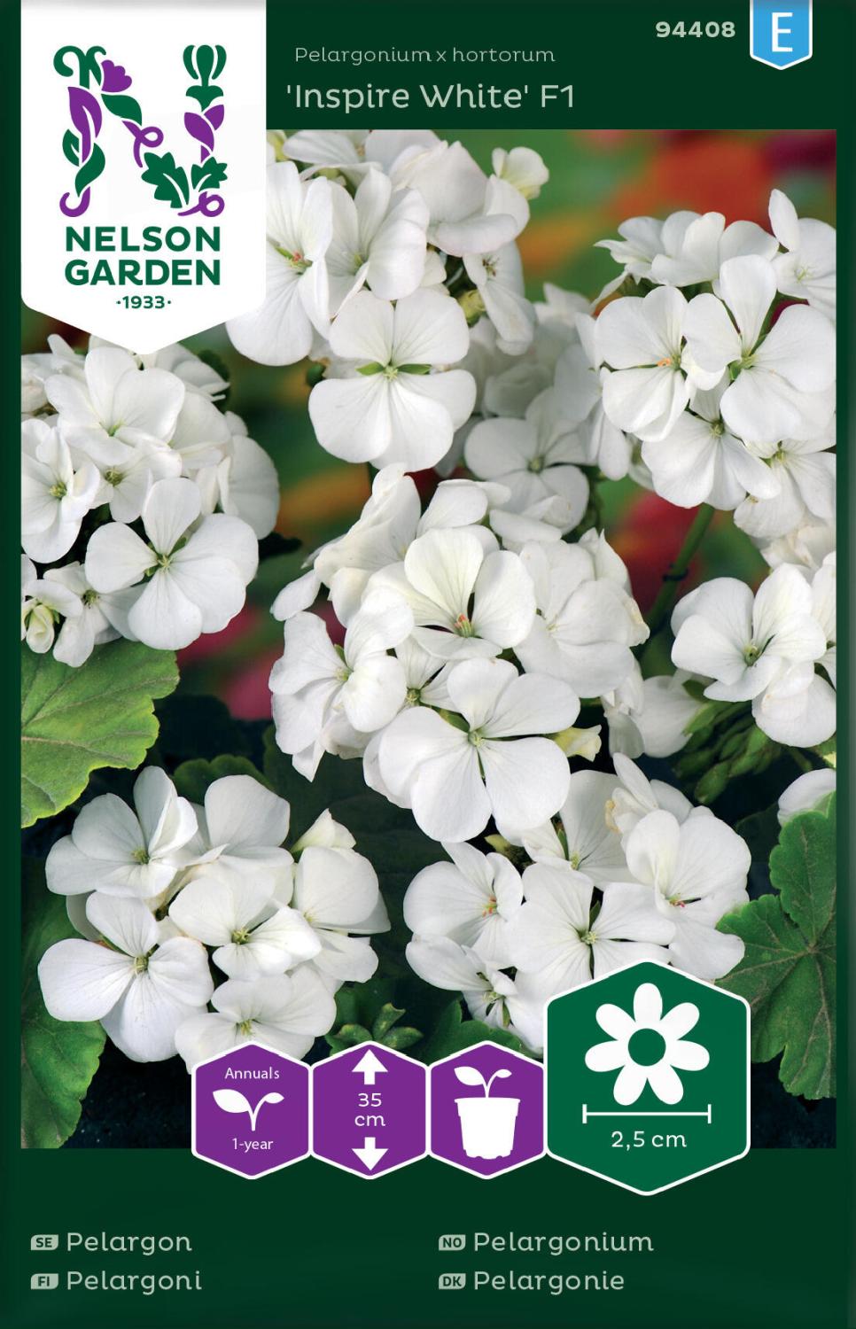 Pelargon, Inspire White F1, vit