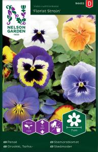 Pensé, Florist Strain, storbl. bl färger