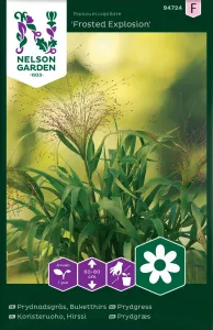 Prydnadsgräs, Frosted Explosion