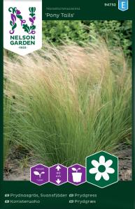 Prydnadsgräs, Pony Tails