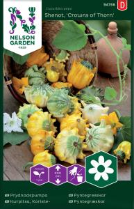 Prydnadspumpa, Crowns of Thorns