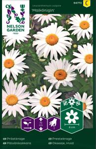 Prästkrage, Maikönigin, vit