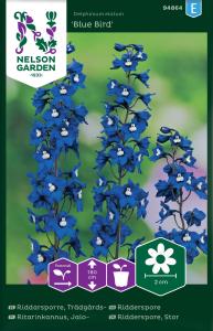 Riddarsporre, Trädgårds-, Blue Bird, blå