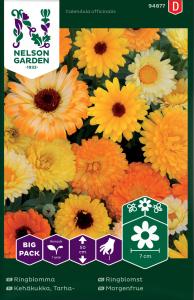 Ringblomma, bl färger, Big Pack