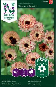 Ringblomma, Bronzed Beauty