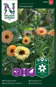 Ringblomma, Cantaloupe