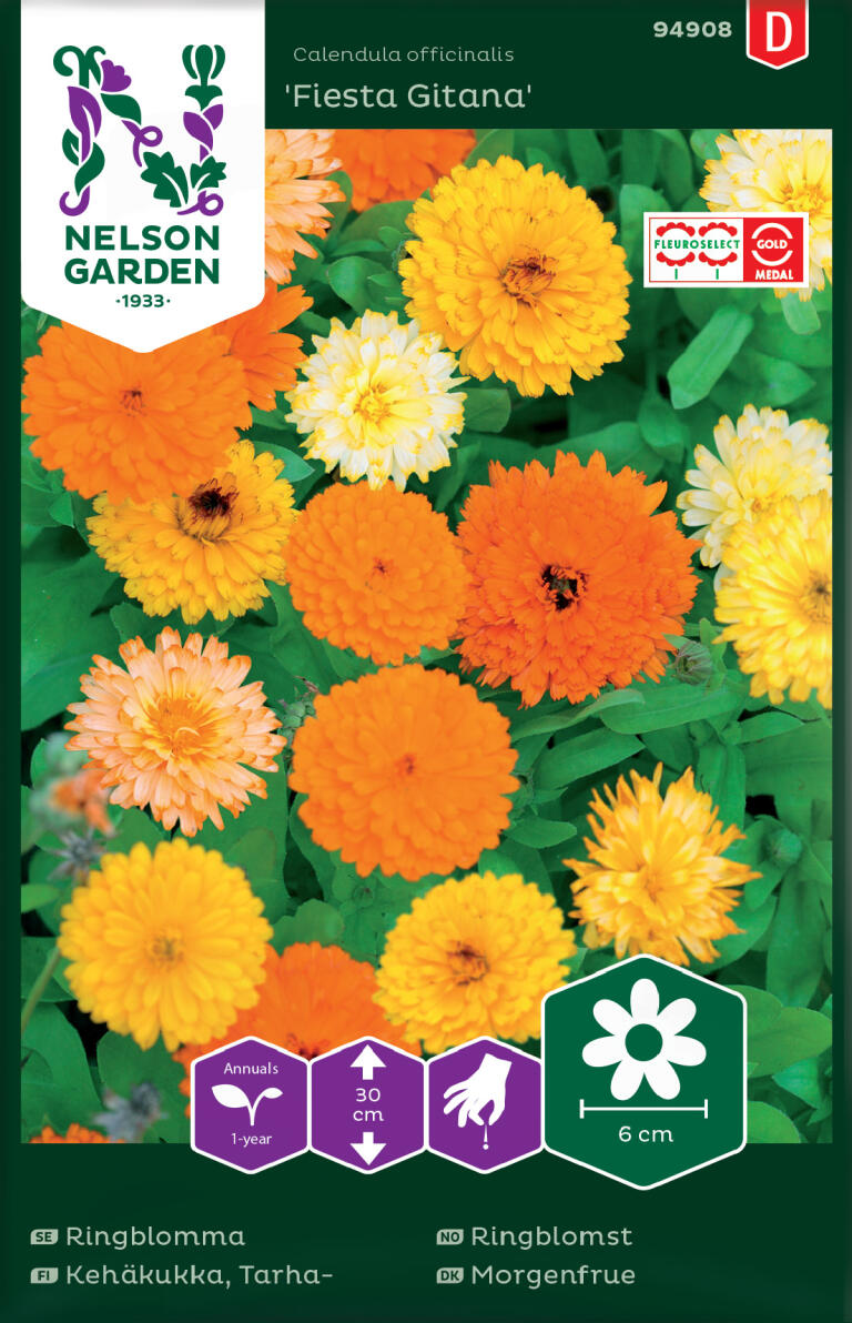 Ringblomma, Pacific Beauty