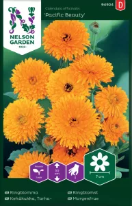 Ringblomma, Pacific Beauty