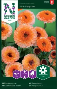 Ringblomma, Pink Surprise