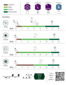 Ringblomma, bl färger, Organic
