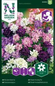 Roseniberis, bl färger