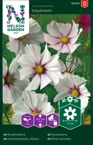 Rosenskära, Daydream