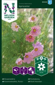 Rosenskära, Apricotta