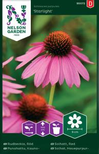 Rudbeckia, Röd, Starlight