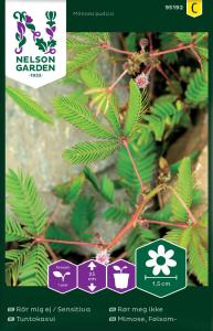 Rör mig ej, Sensitiva