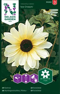 Solros, Ikarus, halvhög