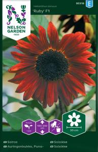 Solros, Ruby F1, hög