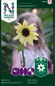 Solros, Buttercream F1