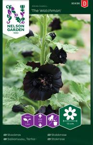 Stockros, The Watchman, svartröd