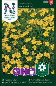 Tagetes, Liten, Lemon Star