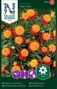 Tagetes, Sammets-, Tiger Eyes