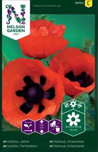 Vallmo, Jätte-, orangeröd