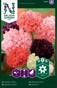 Vallmo, Pion-, bl färger