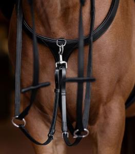 Förbygel Med Martingal Svart