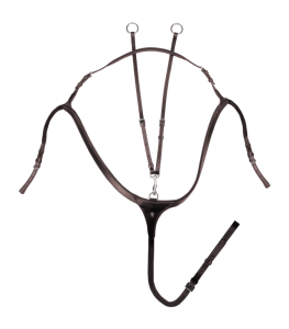 Förbygel Med Martingal Brun