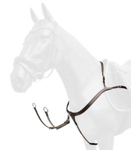 Förbygel Med Martingal Brun