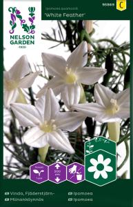 Vinda, Fjäderstjärn-, White Feather